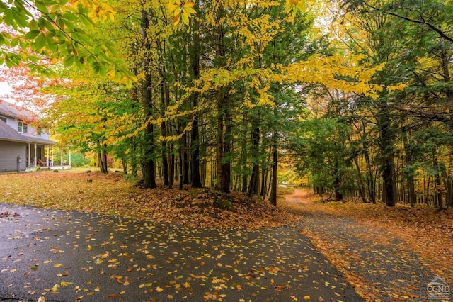 1013 Plank Rd, Averill Park, NY 12018 - view of road