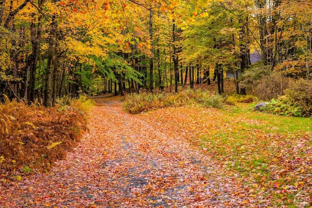 1013 Plank Rd, Averill Park, NY 12018 - view of street featuring a wooded view