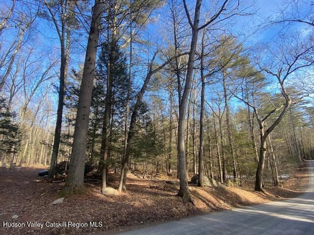 Listing photo 2 for TBD Wynkoop Rd, Olivebridge NY 12461