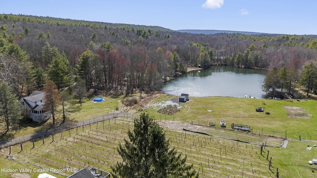 60-62 Stony Rd, Accord, NY 12404 - birds eye view of property featuring a rural view, a water view, and a view of trees