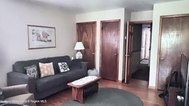 252 Rte 199, Red Hook, NY 12571 - living room with wood finished floors