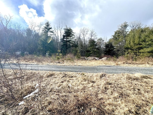 547 Glenford-Wittenberg Rd, Bearsville, NY 12409 - photo 2