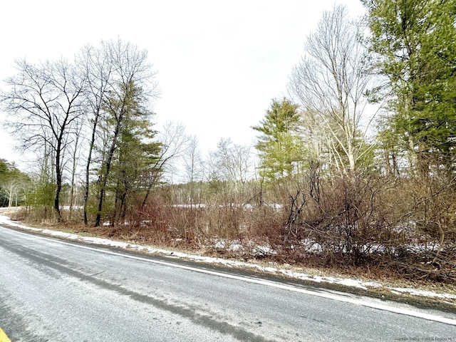 547 Glenford-Wittenberg Rd, Bearsville, NY 12409 - photo 12