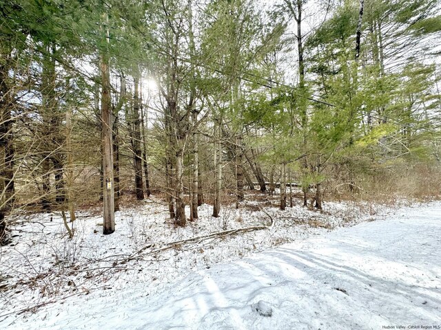 547 Glenford-Wittenberg Rd, Bearsville, NY 12409 - photo 8