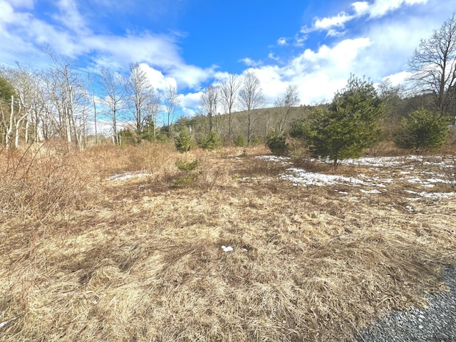 547 Glenford-Wittenberg Rd, Bearsville, NY 12409 - photo 1