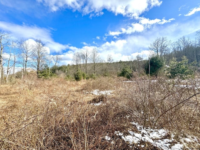 547 Glenford-Wittenberg Rd, Bearsville, NY 12409 - photo 4