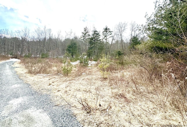 547 Glenford-Wittenberg Rd, Bearsville, NY 12409 - photo 10