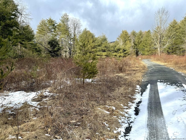 547 Glenford-Wittenberg Rd, Bearsville, NY 12409 - photo 6