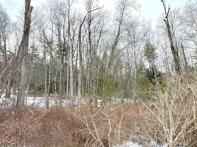 547 Glenford-Wittenberg Rd, Bearsville, NY 12409 - photo 13