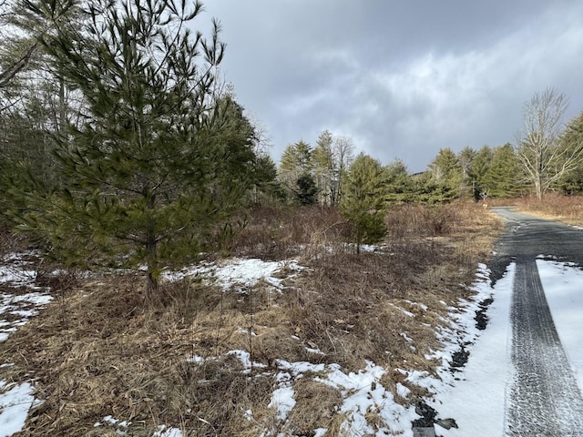 547 Glenford-Wittenberg Rd, Bearsville, NY 12409 - photo 5