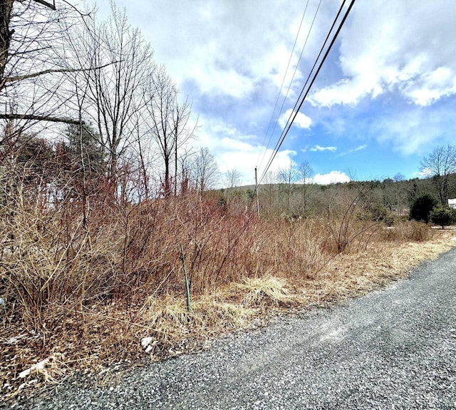 547 Glenford-Wittenberg Rd, Bearsville, NY 12409 - photo 11