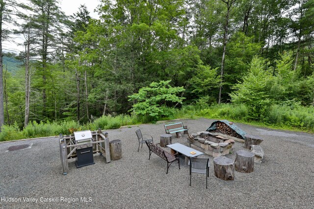 68 Garfield Rd, Phoenicia, NY 12464 - photo 30