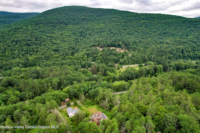 68 Garfield Rd, Phoenicia, NY 12464 - photo 37