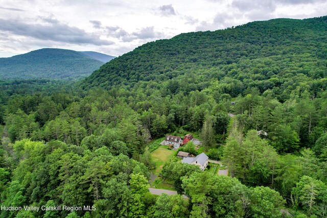68 Garfield Rd, Phoenicia, NY 12464 - photo 36