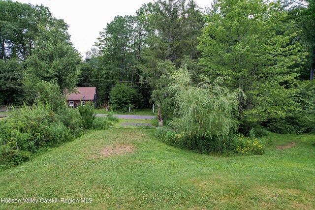 68 Garfield Rd, Phoenicia, NY 12464 - photo 39