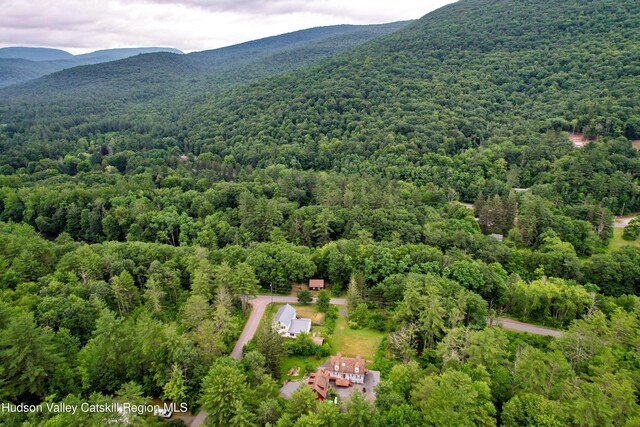 68 Garfield Rd, Phoenicia, NY 12464 - photo 35