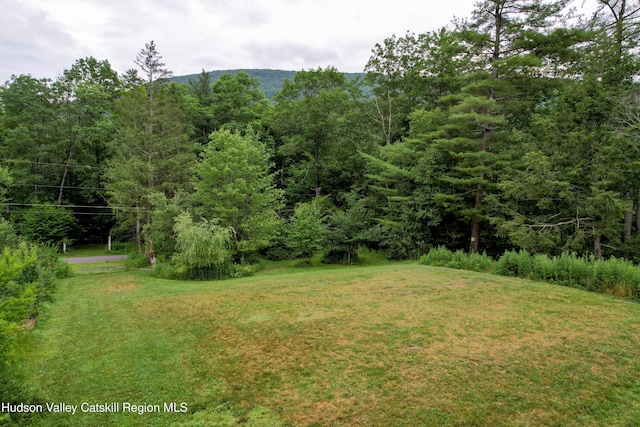 68 Garfield Rd, Phoenicia, NY 12464 - photo 24