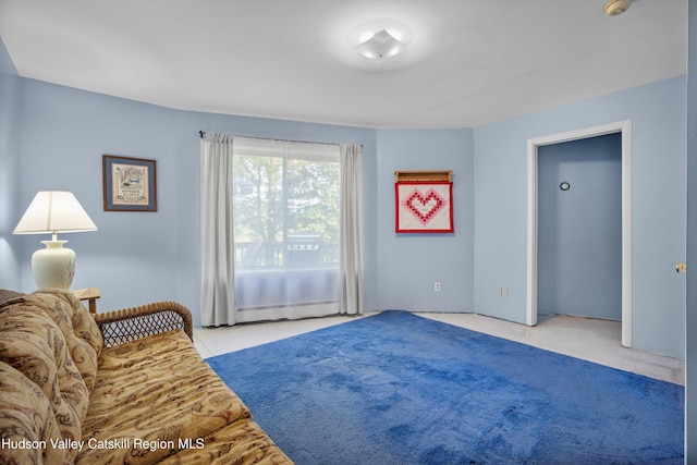 17 Boice Mill Rd, Kerhonkson, NY 12446 - view of sitting room
