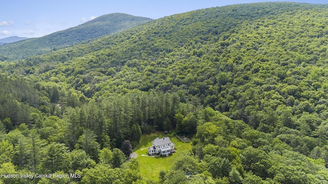 11 Grogkill Rd, Willow, NY 12495 - photo 47