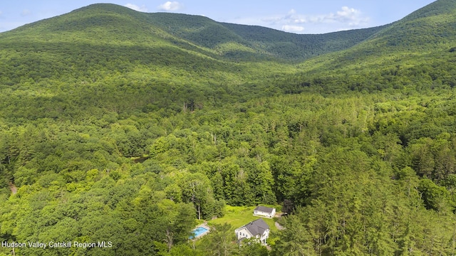 11 Grogkill Rd, Willow, NY 12495 - photo 42