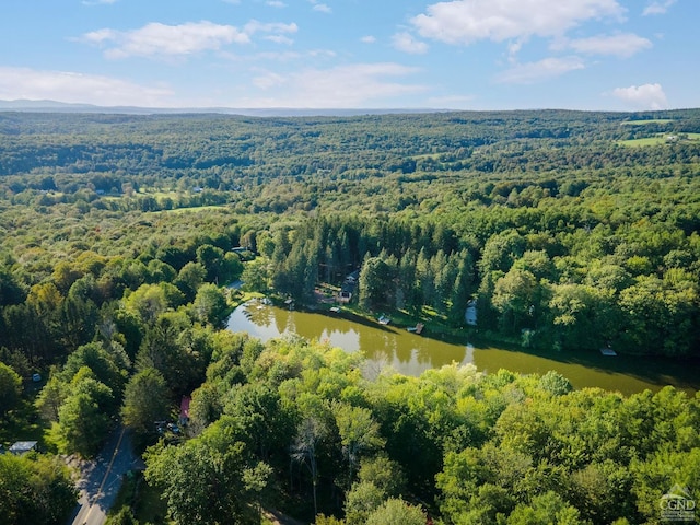 106 Earles Ln, Gilboa, NY 12076 - bird's eye view of a forest and a nearby body of water