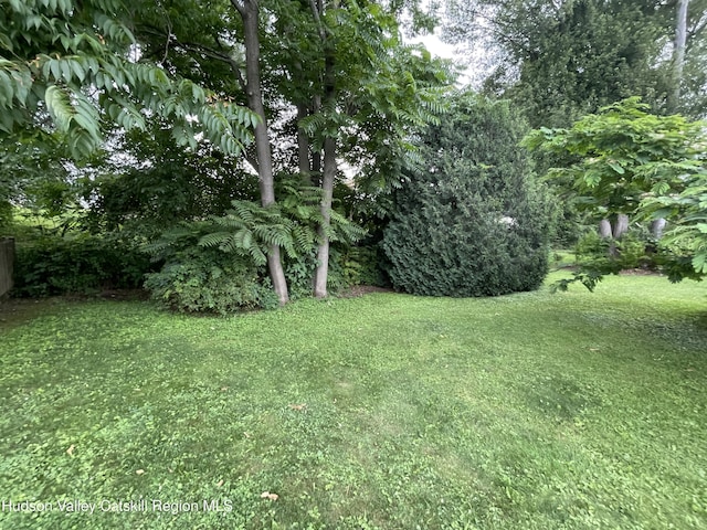 95 Yarmouth St, Kingston, NY 12401 - photo 31