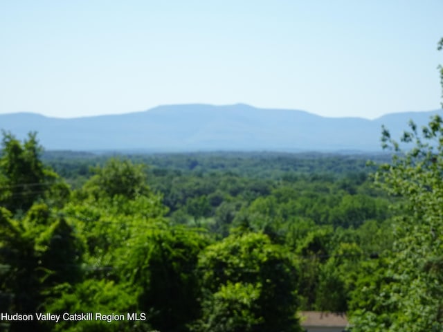 135 Millbrook Rd, Hudson, NY 12534 - photo 38
