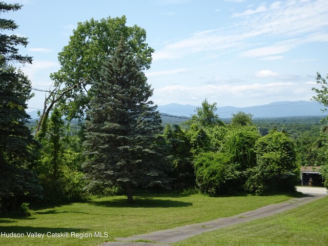 135 Millbrook Rd, Hudson, NY 12534 - photo 37