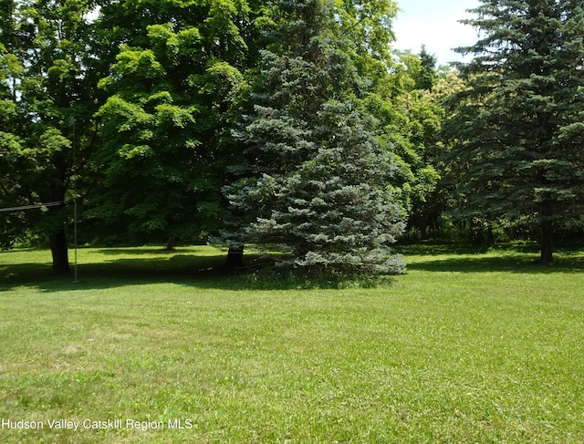 135 Millbrook Rd, Hudson, NY 12534 - photo 41