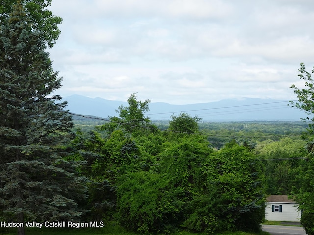 135 Millbrook Rd, Hudson, NY 12534 - photo 8