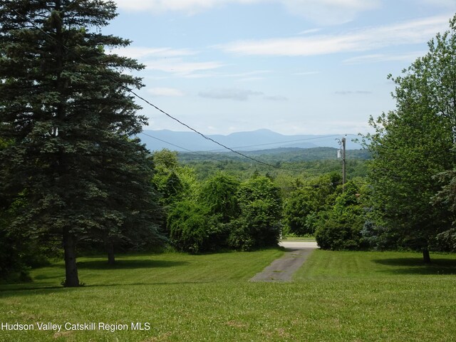 135 Millbrook Rd, Hudson, NY 12534 - photo 32
