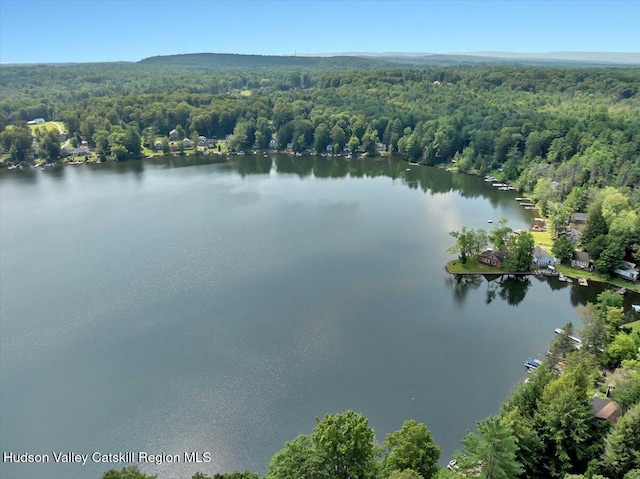 2560 May Rd, Galway, NY 12086 - photo 50