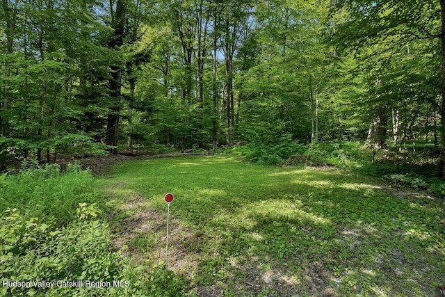 2560 May Rd, Galway, NY 12086 - photo 27