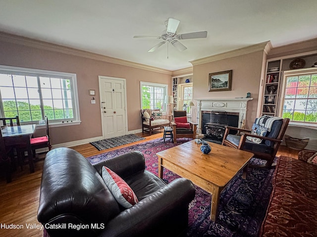 76 Smith Rd, Preston Hollow, NY 12469 - living area with wood finished floors, a premium fireplace, ceiling fan, and crown molding