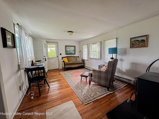 76 Smith Rd, Preston Hollow, NY 12469 - living room featuring baseboard heating, plenty of natural light, and wood finished floors