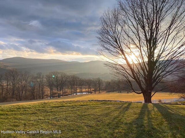 76 Smith Rd, Preston Hollow, NY 12469 - view of mountain background
