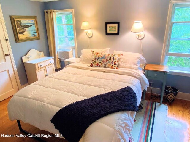 76 Smith Rd, Preston Hollow, NY 12469 - bedroom with wood finished floors, multiple windows, and cooling unit