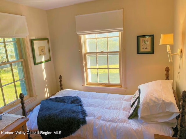 76 Smith Rd, Preston Hollow, NY 12469 - bedroom featuring multiple windows