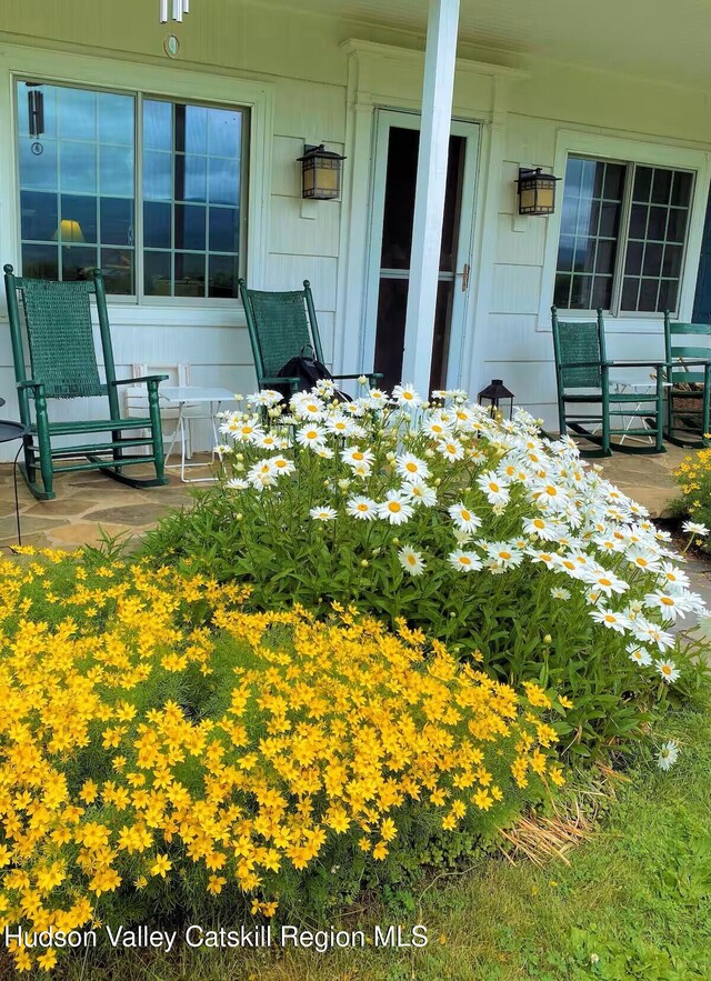 76 Smith Rd, Preston Hollow, NY 12469 - doorway to property