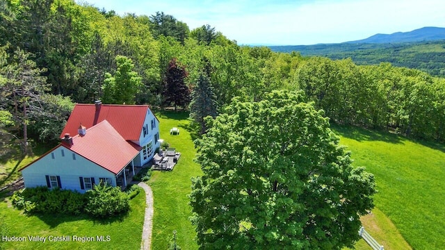 76 Smith Rd, Preston Hollow, NY 12469 - view of subject property with a forest