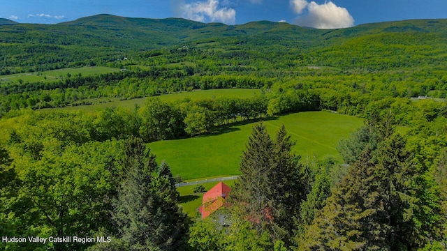 76 Smith Rd, Preston Hollow, NY 12469 - drone / aerial view of mountains