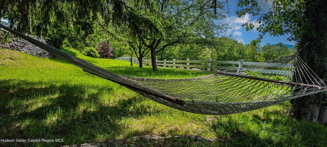76 Smith Rd, Preston Hollow, NY 12469 - view of yard