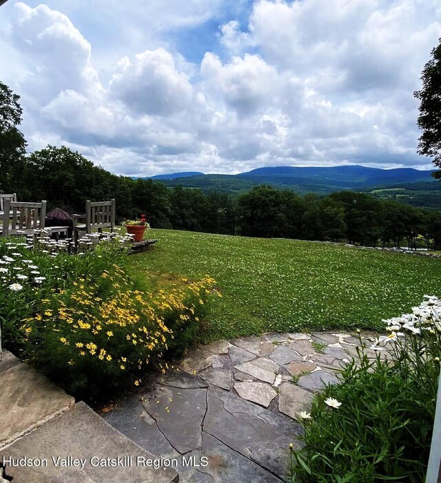 76 Smith Rd, Preston Hollow, NY 12469 - view of grassy yard featuring a mountain view