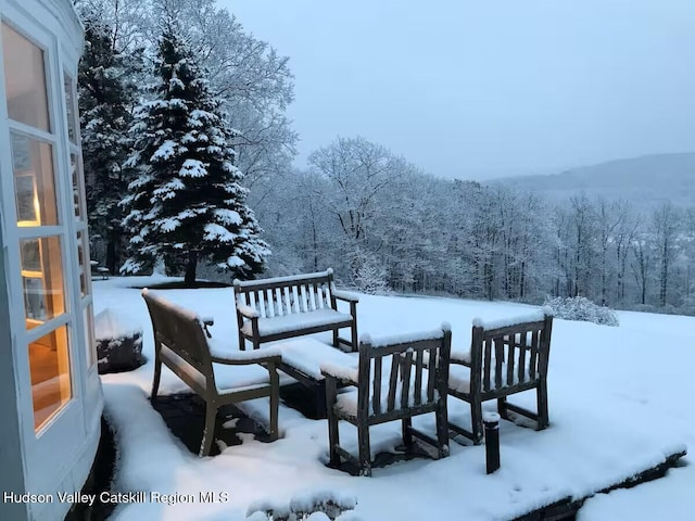 76 Smith Rd, Preston Hollow, NY 12469 - snow covered deck with a wooded view