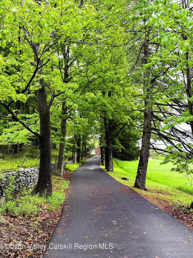 76 Smith Rd, Preston Hollow, NY 12469 - view of property's community