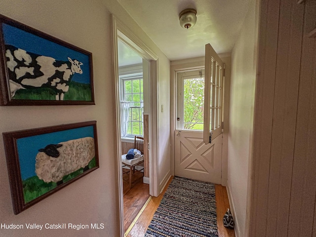76 Smith Rd, Preston Hollow, NY 12469 - entryway with light wood-type flooring