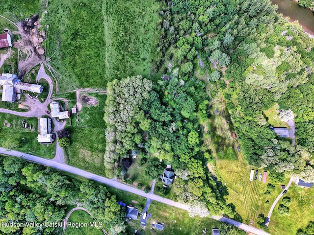 360 Stone Bridge Rd, Extension, Durham, NY 12423 - photo 75