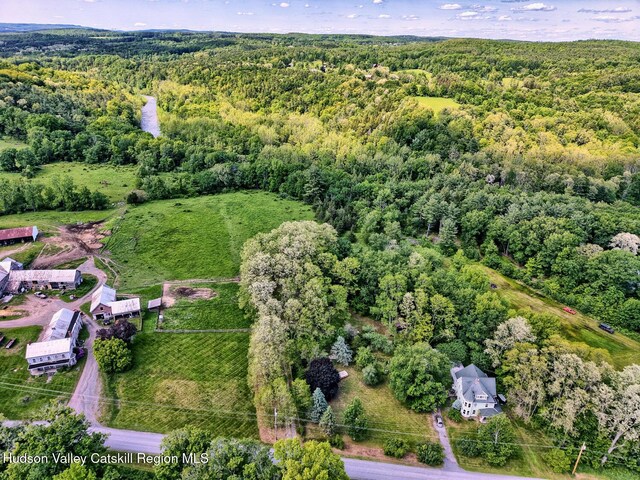 360 Stone Bridge Rd, Extension, Durham, NY 12423 - photo 73