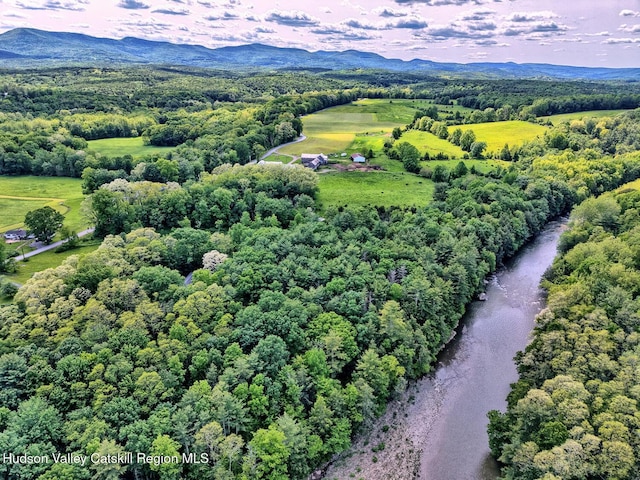 360 Stone Bridge Rd, Extension, Durham, NY 12423 - photo 78