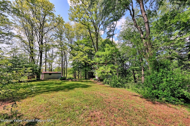 360 Stone Bridge Rd, Extension, Durham, NY 12423 - photo 14